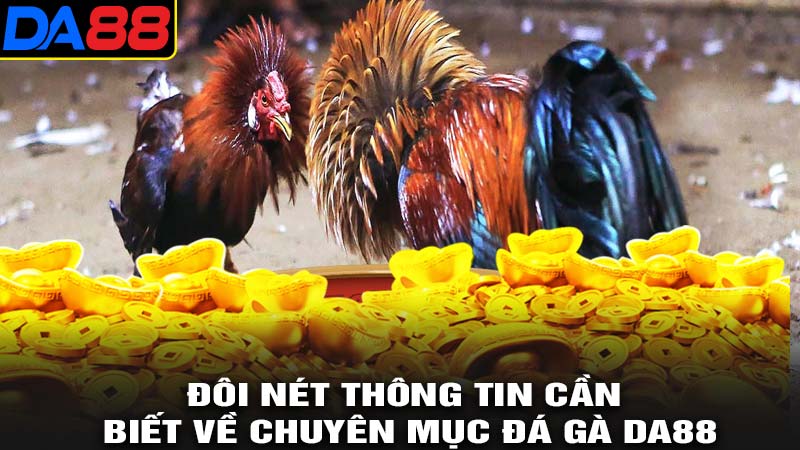 Đôi nét về chuyên mục đá gà da88