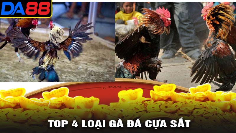 Top 4 loại hình đá gà cựa sắt