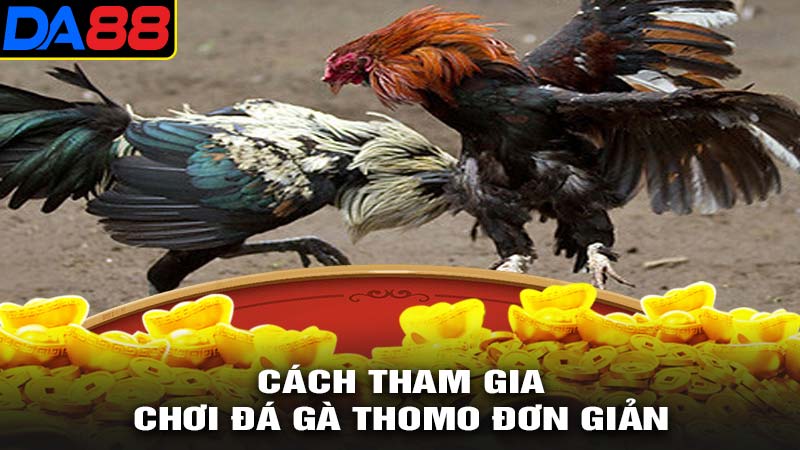 Cách tham gia chơi đá gà thomo