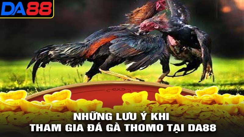 Những lưu ý khi tham gia đá gà thomo da88